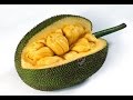 Arboles Frutales Y Para Que Sirven