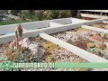 Diseño De Jardines Secos