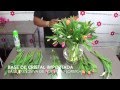 Arreglos Florales Con Tulipanes Morados