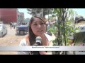 Que Arboles Frutales Se Dan En Clima Frio