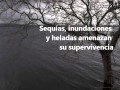Arboles Frutales Resistentes Ala Sequia