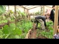 Huertos Familiares En Bolivia