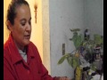 Plantas Curativas Chaya