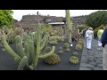 Diseño De Jardines Con Cactus