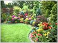 Arbustos Ornamentales Jardin