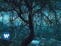 Arboles Frutales Lyrics