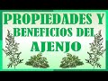 La Biblia De Las Plantas Medicinales Y Curativas