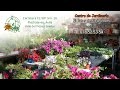 Vivero Arboles Frutales Barcelona
