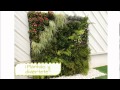 Diseño De Jardines Verticales