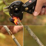 Arboles Frutales Jardin