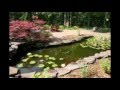 Decoracion De Jardines 2014