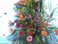Arreglos Florales Zapopan