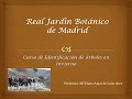 Cursos Diseño De Jardines Bogota