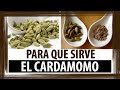 Plantas Curativas Y Para Que Sirven