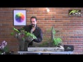 Decoracion De Jardines Con Troncos De Madera