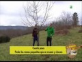 Poda De Arboles Frutales En Asturias