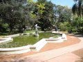 Arbustos Ornamentales Uruguay