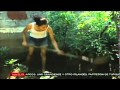 Huertos Familiares Nicaragua