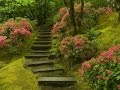 Diseño De Jardines Historia