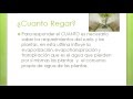 Sistemas De Riego Y Drenaje Pdf