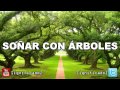 Arboles Frutales Altos