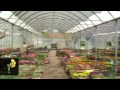 Plantas Carnivoras Venta Zona Sur