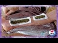 Plantas Curativas Para Los Bronquios