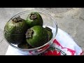 Arboles Frutales Zapote