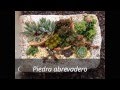 Diseño De Jardines Con Cactus Y Suculentas