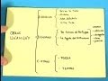 Texto Expositivo De Las Plantas Carnivoras