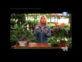 Decoracion De Jardines Uruguay
