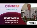 Plantas Curativas Ajenjo