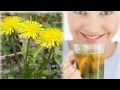Plantas Curativas Boldo