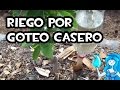 Sistemas De Riego Por Goteo Caseros