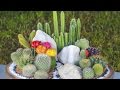 Decoracion De Jardines Con Piedras Y Madera