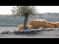 Diseño De Jardines Ibiza
