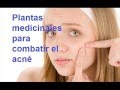 Plantas Curativas Antiinflamatorias