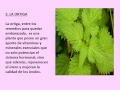 Plantas Curativas Caseras