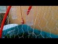 Sistemas De Riego Zamora Michoacan