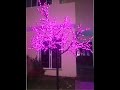 Decoracion De Jardines Con Luces