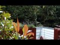 Diseño De Jardines Girona