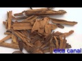 Plantas Curativas Albahaca