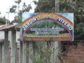 Comision De Plantas Ornamentales Guatemala