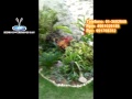 Decoracion De Jardines Con Fuentes De Agua