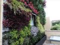 Venta De Plantas Ornamentales En Bogota