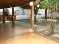 Arboles Frutales Valencia