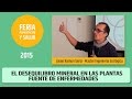 Plantas Curativas Balaguer