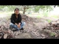 Sistemas De Riego Frutales