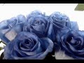 Arreglos Florales Baratos En El Salvador