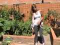 Diseño De Jardines Organicos